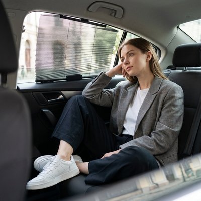 Pare soleil voiture pro