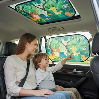 Pare soleil voiture