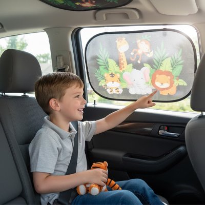 Pare soleil voiture